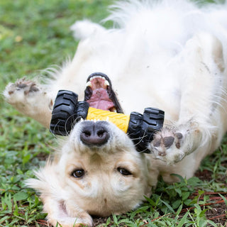 Tonka Real Tough Tyre Barbell Chew and Treat Dispenser Toy | Henlo Pets