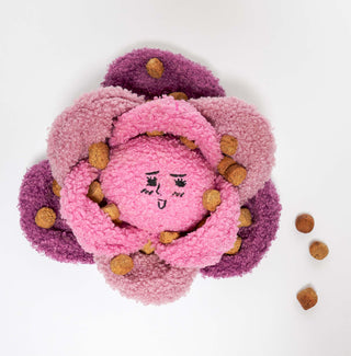 the furryfolks Red Cabbage Nose Work Dog Toy | Henlo Pets