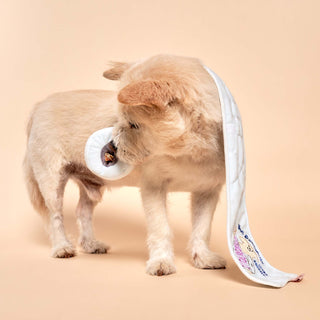 the furryfolks Toilet Paper Nose Work Dog Toy | Henlo Pets