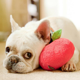 P.L.A.Y. Garden Fresh Plush Dog Toy Collection | Henlo Pets