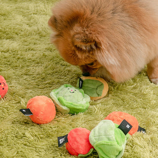 Bite Me Vegetable Ball Plush Dog Toy | Henlo Pets