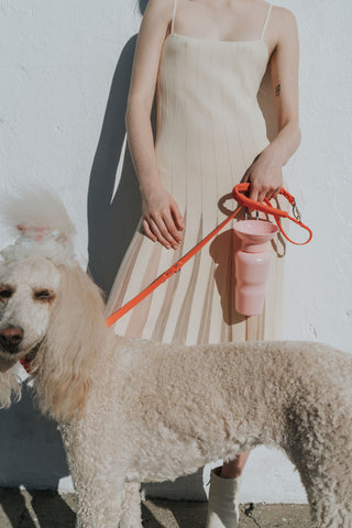 Springer Pets Classic Dog Travel Water Bottle | Henlo Pets