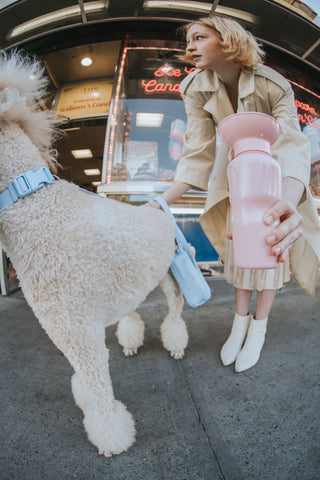 Springer Pets Classic Dog Travel Water Bottle | Henlo Pets