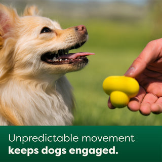 Earth Rated Natural Rubber Fetch Dog Toy | Henlo Pets