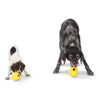 West Paw Rumbl Treat Dispensing Dog Toy | Henlo Pets