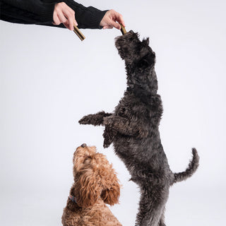 Bell & Bone Lamb, Mint and Manuka Honey Dog Dental Sticks | Henlo Pets