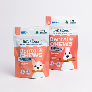 Bell & Bone Salmon and Carrot Puppy Dental Chews | Henlo Pets