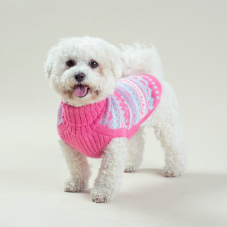 Alqo Wasi Bubble Gum Alpaca Dog Sweater | Henlo Pets