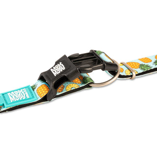 Max & Molly Sweet Pineapple Smart ID Dog Collar | Henlo Pets