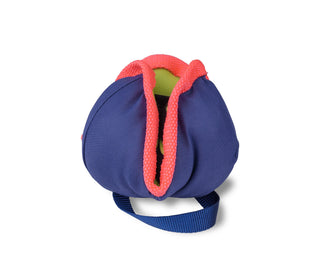 Coachi Chase & Treat Nose-work Dog Toy | Henlo Pets