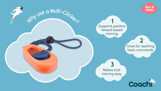 Coachi Multi-Clicker Training Aid | Henlo Pets