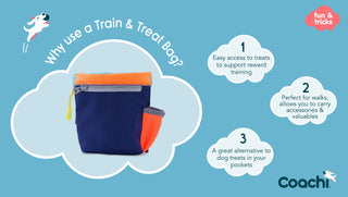 Coachi Train & Treat Bag | Henlo Pets