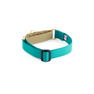 Dog + Bone Martingale Collar Teal & Gold | Henlo Pets