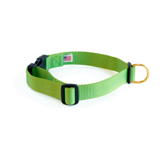 Dog + Bone Snap Collar - Greenery | Henlo Pets