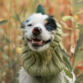 Zoo Snoods Baby Alien Snood | Henlo Pets
