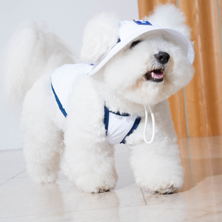 Puppy Gallery Outdoor Cooling Buckle Hat for Dogs | Henlo Pets