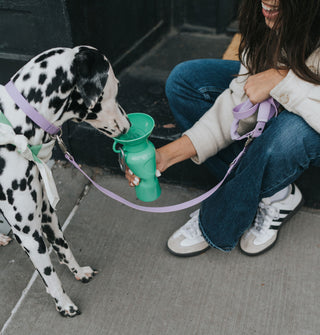 Springer Pets Classic Dog Travel Water Bottle | Henlo Pets