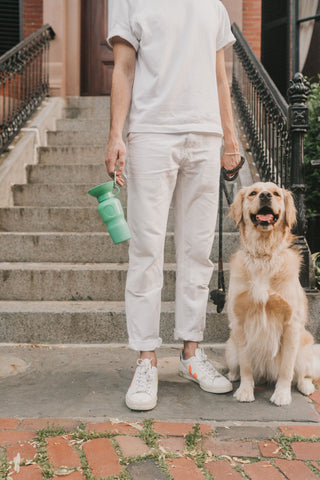 Springer Pets Classic Dog Travel Water Bottle | Henlo Pets