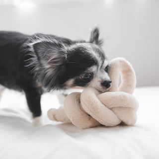 Lambwolf Collective NOU NOU NOU Multicolour Dog Toy | Henlo Pets