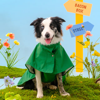 Bacon Easy Wear Raincoat 2 | Henlo Pets