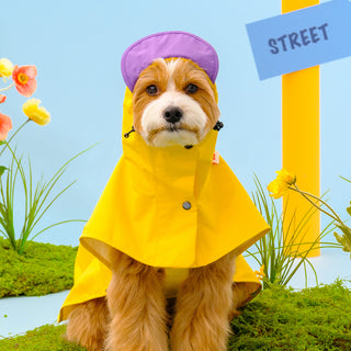 Bacon Easy Wear Raincoat 2 | Henlo Pets