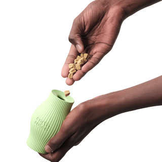 Earth Rated The Ultimate Kibble Dispenser Treat Toy | Henlo Pets