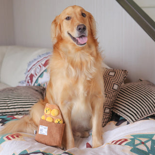 Woof² Egg Waffle Nose-work Soft Plush Dog Toy | Henlo Pets