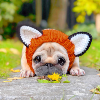 Zoo Snoods Fox Snood | Henlo Pets