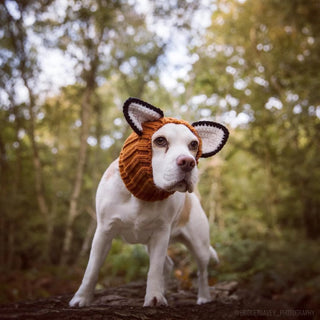 Zoo Snoods Fox Snood | Henlo Pets