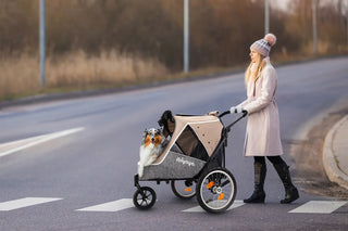 Ibiyaya Happy Pet Bike Trailer/Jogger 2.0 Foldable Pet Stroller - Latte | Henlo Pets