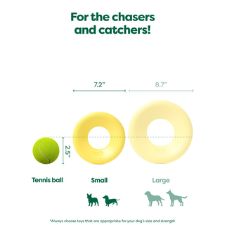 Earth Rated Flying Disc Flyer Dog Toy | Henlo Pets