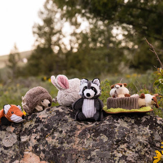 P.L.A.Y. Forest Friends Plush Dog Toy Collection | Henlo Pets