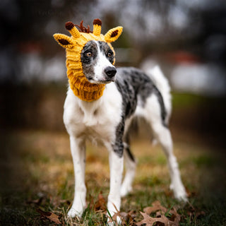 Zoo Snoods Giraffe Snood | Henlo Pets
