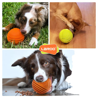 Laroo Yummy Ball Treat Dispenser Toy | Henlo Pets