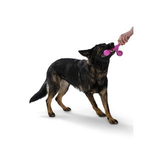 West Paw Skamp Fetch Dog Toy | Henlo Pets