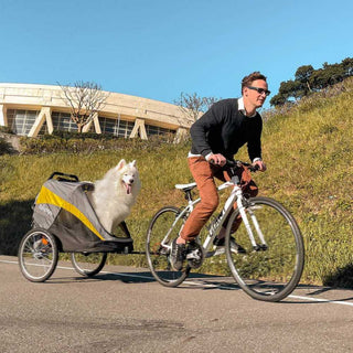 Ibiyaya Bike Tow Bar | Henlo Pets