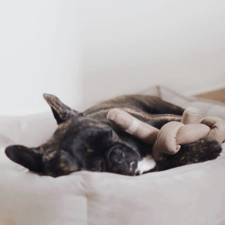 Lambwolf Collective NOU NOU Multicolour Dog Toy | Henlo Pets