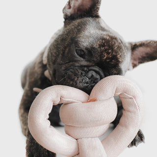 Lambwolf Collective NOU NOU Multicolour Dog Toy | Henlo Pets