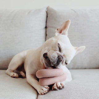 Lambwolf Collective NOU NOU Multicolour Dog Toy | Henlo Pets