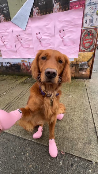wagwear WagWellies Boots Pink | Henlo Pets