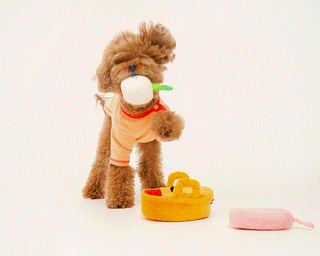 Bacon Kimchi Stew Nosework Dog Toy | Henlo Pets