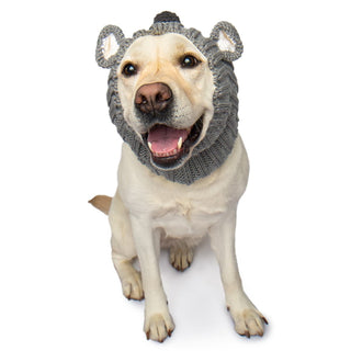 Zoo Snoods Koala Snood | Henlo Pets