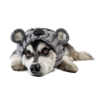 Zoo Snoods Koala Snood | Henlo Pets
