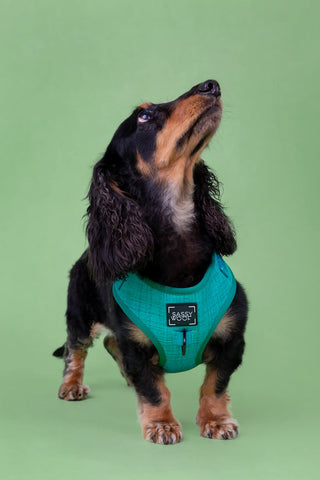 Sassy Woof Adjustable Harness - Napa | Henlo Pets