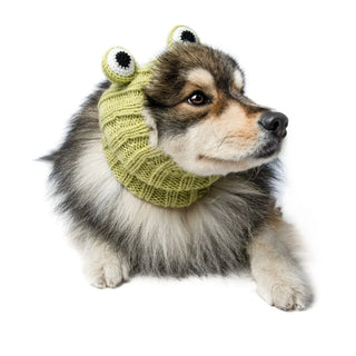 Zoo Snoods Frog Snood | Henlo Pets