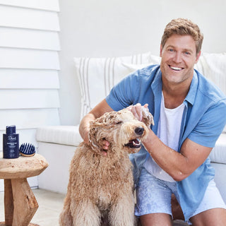 Drool by Dr. Chris Brown Nourish My Coat Unscented | Henlo Pets