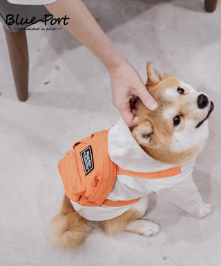 Blueport Backpack Jacket Camel & Orange | Henlo Pets