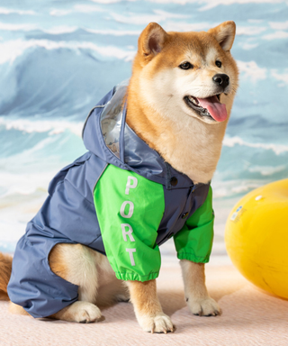 Blueport Reflective Raincoat with Pocket Blue & Green | Henlo Pets
