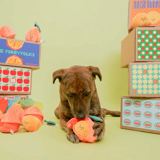 the furryfolks Orange Nosework Dog Toy | Henlo Pets