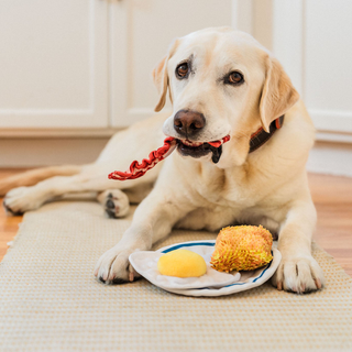 P.L.A.Y. x IHOP Breakfast Sampler Plush Dog Toy | Henlo Pets